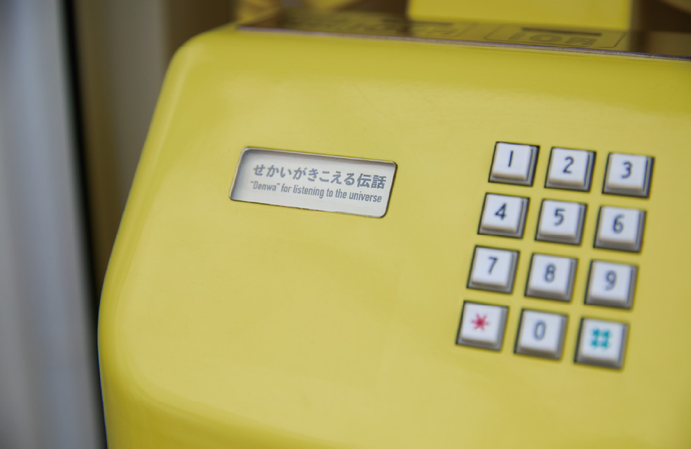 写真１
